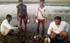 The suspected poachers who were spotted by a birdwatcher who with the help of villagers nabbed them at Jhajjar’s Mandothi village.(HT Photo) The suspected poachers who were spotted by a birdwatcher who with the help of villagers nabbed them at Jhajjar’s Mandothi village.(HT Photo)