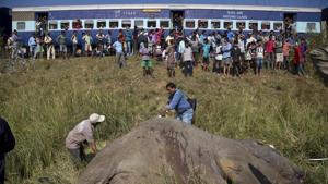 A passenger train passes as vets measure the carcass of two elephants that were hit and killed by a passenger train near a railway track in Thakur Kuchi village on the outskirts of Guwahati on November 19.(AP File Photo) A passenger train passes as vets measure the carcass of two elephants that were hit and killed by a passenger train near a railway track in Thakur Kuchi village on the outskirts of Guwahati on November 19.(AP File Photo)