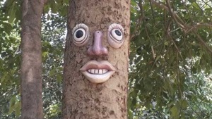 SDMC has used wood to make faces on six trees at Jangpura.(Photo: Sourced) SDMC has used wood to make faces on six trees at Jangpura.(Photo: Sourced)