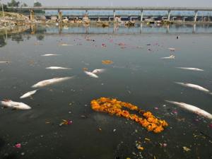 Waste generated from ritualistic practices is dumped into the Yamuna river in Delhi.(HT Photo) Waste generated from ritualistic practices is dumped into the Yamuna river in Delhi.(HT Photo)