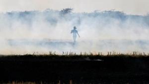 Punjab and Haryana reported 42,337 and 12,606 cases of crop burning in 2017 amid steps taken to prevent them.(REUTERS File Photo) Punjab and Haryana reported 42,337 and 12,606 cases of crop burning in 2017 amid steps taken to prevent them.(REUTERS File Photo)