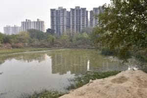 Gurgaon, India - Dec. 19, 2017: Water bodies at Sector-47, in Gurgaon, India, on Tuesday, December 19, 2017. (Photo by Sanjeev Verma/ Hindustan Times)(Sanjeev Verma/HT PHOTO)
