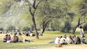 The Sanjay Jheel Park in Mayur Vihar is guarded by just 10 men with lathis. It is notorious for snatching.(HT PHOTO/HT PHOTO) The Sanjay Jheel Park in Mayur Vihar is guarded by just 10 men with lathis. It is notorious for snatching.(HT PHOTO/HT PHOTO)