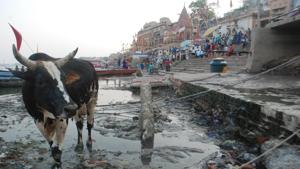 To clean Ganga, the State must start with rejuvenating and cleaning the tributaries that feed the river(HT) To clean Ganga, the State must start with rejuvenating and cleaning the tributaries that feed the river(HT)