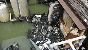 Stagnant rain water, perfect breeding ground for mosquitoes, at the non-functional sewage treatment plant near the Municipal Corporation of Gurugram (MCG) office.(Sanjeev Verma/HT file photo) Stagnant rain water, perfect breeding ground for mosquitoes, at the non-functional sewage treatment plant near the Municipal Corporation of Gurugram (MCG) office.(Sanjeev Verma/HT file photo)