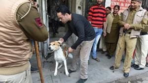 Shops and other establishments were sealed at the Defence Colony market on Friday.(Sanchit Khanna/HT PHOTO) Shops and other establishments were sealed at the Defence Colony market on Friday.(Sanchit Khanna/HT PHOTO)