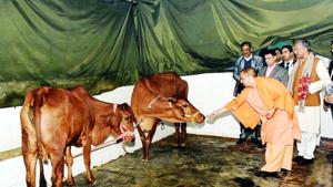 Uttar Pradesh chief minister Yogi Adityanath feeds cows while his Uttarakhand counterpart Trivendra Singh Rawat looks on, in Dehradun on Wednesday.(Pic courtesy: CMO) Uttar Pradesh chief minister Yogi Adityanath feeds cows while his Uttarakhand counterpart Trivendra Singh Rawat looks on, in Dehradun on Wednesday.(Pic courtesy: CMO)