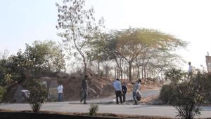 This road is perpendicular to the highway and provides direct access to fragments of the Aravalli hills and forests. There are also signs of new construction in the hills along the road. This road is perpendicular to the highway and provides direct access to fragments of the Aravalli hills and forests. There are also signs of new construction in the hills along the road.
