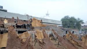 Workers spreading processed leather for drying at Boota Mandi in Jalandhar. Locals have alleged that tanneries in Jalandhar district were discharging effluents into drains(HT File) Workers spreading processed leather for drying at Boota Mandi in Jalandhar. Locals have alleged that tanneries in Jalandhar district were discharging effluents into drains(HT File)