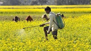 This rabi season, the production will be around 10 lakh tonne short.(PTI) This rabi season, the production will be around 10 lakh tonne short.(PTI)