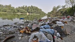 Researchers said there is also possibility that the levels of heavy metals are rising in Sanjay Lake.(Sanjeev Verma/HT Photo) Researchers said there is also possibility that the levels of heavy metals are rising in Sanjay Lake.(Sanjeev Verma/HT Photo)