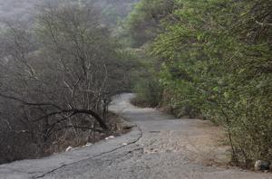 The meeting will take place in the backdrop of a rise in poaching in the Aravallis.(Sanjeev Verma/HT FILE) The meeting will take place in the backdrop of a rise in poaching in the Aravallis.(Sanjeev Verma/HT FILE)