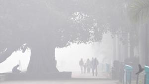A western disturbance, a system of low pressure that moves from the west to the east, bringing moisture from Eurasian water bodies, has influenced weather in Punjab Haryana over the week.(HT File) A western disturbance, a system of low pressure that moves from the west to the east, bringing moisture from Eurasian water bodies, has influenced weather in Punjab Haryana over the week.(HT File)