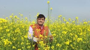 Agriculture minister Prabhu Lal Saini inspecting mustard crops Rajasthan.(HT Photo)