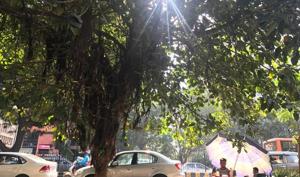 The NDMC area, a VIP zone in the city’s heart, is home to a mere 1.5% of the Capital’s 16.78 million people and covers just 3% of the city. But it has nearly 50% green cover of Delhi.(Mayank Austen Soofi / HT Photo) The NDMC area, a VIP zone in the city’s heart, is home to a mere 1.5% of the Capital’s 16.78 million people and covers just 3% of the city. But it has nearly 50% green cover of Delhi.(Mayank Austen Soofi / HT Photo)
