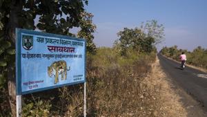 The Maharashtra forest department has put up signs and red flags on roads that they consider danger zones.(HT File Photo)