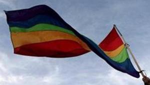 An activist waves a rainbow flag during an LGBT pride parade.(Reuters File)