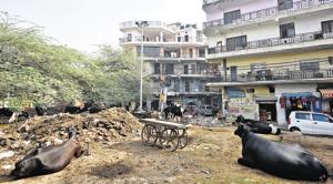 Residential area at Lado Sarai in New Delhi.(Sanchit Khanna/HT PHOTO) Residential area at Lado Sarai in New Delhi.(Sanchit Khanna/HT PHOTO)
