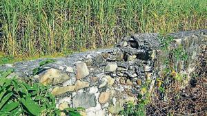 The 5-km-long and 5-feet-tall Great Wall that Corbett built in Chhoti Haldwani.(Anupam Trivedi/HT File Photo) The 5-km-long and 5-feet-tall Great Wall that Corbett built in Chhoti Haldwani.(Anupam Trivedi/HT File Photo)