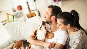 Keeping a pet can help build an intimate, trustworthy relationship with your partner.(Getty Images) Keeping a pet can help build an intimate, trustworthy relationship with your partner.(Getty Images)
