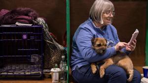 A woman sits with her Border Terrier dog on the second day of the Crufts dog show.(AFP) A woman sits with her Border Terrier dog on the second day of the Crufts dog show.(AFP)