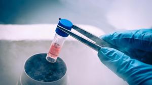 Researchers in Chennai have identified naturally occurring chemicals in Indian medicinal plants that have no significant similarity with those used in existing drugs, making them prospective ingredients for future medicines.(Getty Images/iStockphoto) Researchers in Chennai have identified naturally occurring chemicals in Indian medicinal plants that have no significant similarity with those used in existing drugs, making them prospective ingredients for future medicines.(Getty Images/iStockphoto)