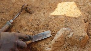 The seven bone fragments analysed by researchers were excavated between 2005 and 2015 at the Lingjing site in central China’s Henan province.(Representative image) The seven bone fragments analysed by researchers were excavated between 2005 and 2015 at the Lingjing site in central China’s Henan province.(Representative image)