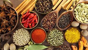 In Rajasthan, dill seeds are used as a flavouring agent and a spice, while in foreign countries it is used in medicines.(File/Getty Images) In Rajasthan, dill seeds are used as a flavouring agent and a spice, while in foreign countries it is used in medicines.(File/Getty Images)