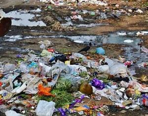 In this summer internship, it is expected that students will not only participate in overall cleanliness in villages/slums, but would also help in setting up systems for sustaining cleanliness/sanitation.(HT) In this summer internship, it is expected that students will not only participate in overall cleanliness in villages/slums, but would also help in setting up systems for sustaining cleanliness/sanitation.(HT)