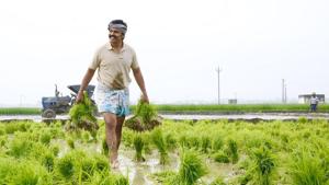 Karthi plays a farmer in Kadai Kutty Singam, which also stars Sayyeshaa and Priya Bhavani Shankar.(Twitter) Karthi plays a farmer in Kadai Kutty Singam, which also stars Sayyeshaa and Priya Bhavani Shankar.(Twitter)
