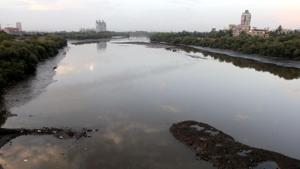 The water transport has been planned from Nerul to Bhau Cha Dhakka and Nerul and Mandwa for which, a jetty will have to be constructed at Nerul.(HT File/Representational Image) The water transport has been planned from Nerul to Bhau Cha Dhakka and Nerul and Mandwa for which, a jetty will have to be constructed at Nerul.(HT File/Representational Image)