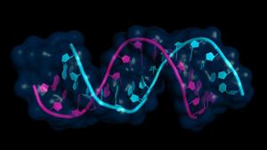 The mRNA drugs offer a promising new approach to deliver therapeutic replacement proteins, and novel strategies designed to engineer more stable and active proteins are further enhancing the potential of mRNA therapies.(Shutterstock) The mRNA drugs offer a promising new approach to deliver therapeutic replacement proteins, and novel strategies designed to engineer more stable and active proteins are further enhancing the potential of mRNA therapies.(Shutterstock)