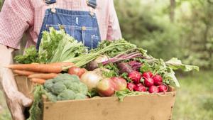There are around 200 farmers in Pune district who follow natural farming methods and have produced quite an yield in the last five years.(Getty Images) There are around 200 farmers in Pune district who follow natural farming methods and have produced quite an yield in the last five years.(Getty Images)