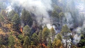 Last year, 100.35 hectare was damaged in March posing a loss of <span class='webrupee'>₹</span>1,72,963.(HT File) Last year, 100.35 hectare was damaged in March posing a loss of <span class='webrupee'>₹</span>1,72,963.(HT File)