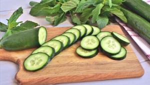 Cucumbers are rich in fibre, potassium, and magnesium.(Shutterstock) Cucumbers are rich in fibre, potassium, and magnesium.(Shutterstock)