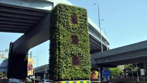 A vertical garden at a Bridge near COEP in Pune.(HT PHOTO) A vertical garden at a Bridge near COEP in Pune.(HT PHOTO)