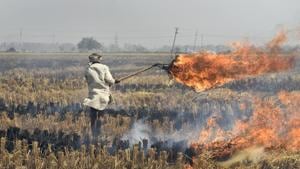 Farmers who burn crop residue in northern India do so knowingly and because they don’t have an alternate economical and viable option. As the first inhalers of that choking smoke, much before it gets into any city dwellers’ lungs, they’re also early sufferers(Burhaan Kinu/HT PHOTO) Farmers who burn crop residue in northern India do so knowingly and because they don’t have an alternate economical and viable option. As the first inhalers of that choking smoke, much before it gets into any city dwellers’ lungs, they’re also early sufferers(Burhaan Kinu/HT PHOTO)