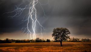 Four people, including a four-year-old girl, were killed in Telangana when lightning struck them on Thursday.(Getty Images/iStockphoto) Four people, including a four-year-old girl, were killed in Telangana when lightning struck them on Thursday.(Getty Images/iStockphoto)