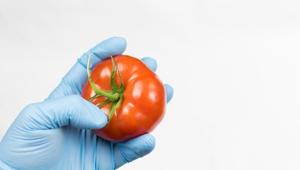 If a pathogen is present in the food or drink inside the package, it would trigger a signal in the packaging that could be read by a smartphone or other simple device.(Shutterstock) If a pathogen is present in the food or drink inside the package, it would trigger a signal in the packaging that could be read by a smartphone or other simple device.(Shutterstock)