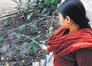 Ashiana gang rape victim says she and her family faced threats and were offered money too. But they chose to fight for justice.(HT Photo) Ashiana gang rape victim says she and her family faced threats and were offered money too. But they chose to fight for justice.(HT Photo)
