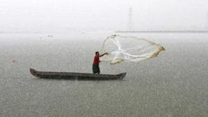 According to the official, the blueprint to realise the state’s full trout production capacity has already been prepared.(HT File) According to the official, the blueprint to realise the state’s full trout production capacity has already been prepared.(HT File)