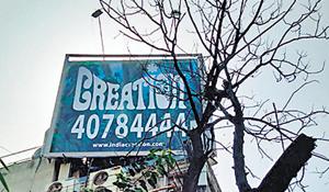 These tree opposite Girgaum Chowpatty were illegally trimmed, claim activists.(HT Photo) These tree opposite Girgaum Chowpatty were illegally trimmed, claim activists.(HT Photo)