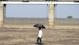 A man walks on dry reservoir bed next to Gunda Dam in Botad district, some 150 km from Ahmedabad in Gujarat state, on April 1, 2016. Report shows shrinking of Sardar Sarovar reservoir in Gujarat.(AFP File Photo)