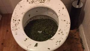 When the residents tried to flush down their stash of weed, it clogged the toilet and alerted the cops.(Twitter)