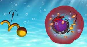 A graphical representation of the nanoprobe, which can facilitate targeted drug delivery to cancerous cells without harming the healthy ones.(Malay Pal/ Indian Institute of Science) A graphical representation of the nanoprobe, which can facilitate targeted drug delivery to cancerous cells without harming the healthy ones.(Malay Pal/ Indian Institute of Science)
