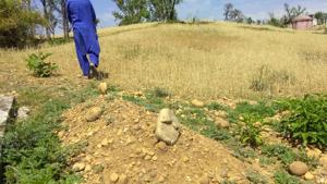A pile of wet mud with two large round stones at both ends is the only remaining earthly sign of the Kathua girl.(HT Photo) A pile of wet mud with two large round stones at both ends is the only remaining earthly sign of the Kathua girl.(HT Photo)