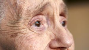 A recent study shows the connection between Alzheimer’s and pollution.(Shutterstock) A recent study shows the connection between Alzheimer’s and pollution.(Shutterstock)