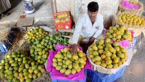 Vendor sealing the Famous Mango (Alphonso) of Konkan Region for sale arrived in Crawford Market, in Mumbai.(HT File Photo) Vendor sealing the Famous Mango (Alphonso) of Konkan Region for sale arrived in Crawford Market, in Mumbai.(HT File Photo)