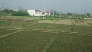 A landowner alleged illegal construction on his land in village Haibatpur of Greater Noida.(HT Photo) A landowner alleged illegal construction on his land in village Haibatpur of Greater Noida.(HT Photo)