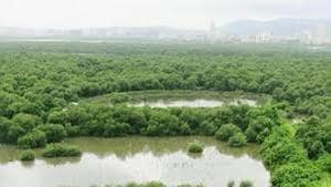 Environmentalists have already begun submitting suggestions and objections to the draft.(REPRESENTATIONAL PHOTO/HT FILE) Environmentalists have already begun submitting suggestions and objections to the draft.(REPRESENTATIONAL PHOTO/HT FILE)